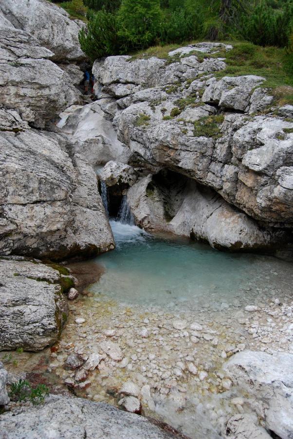 Appartamenti Chalet Orchidea Canazei Dış mekan fotoğraf