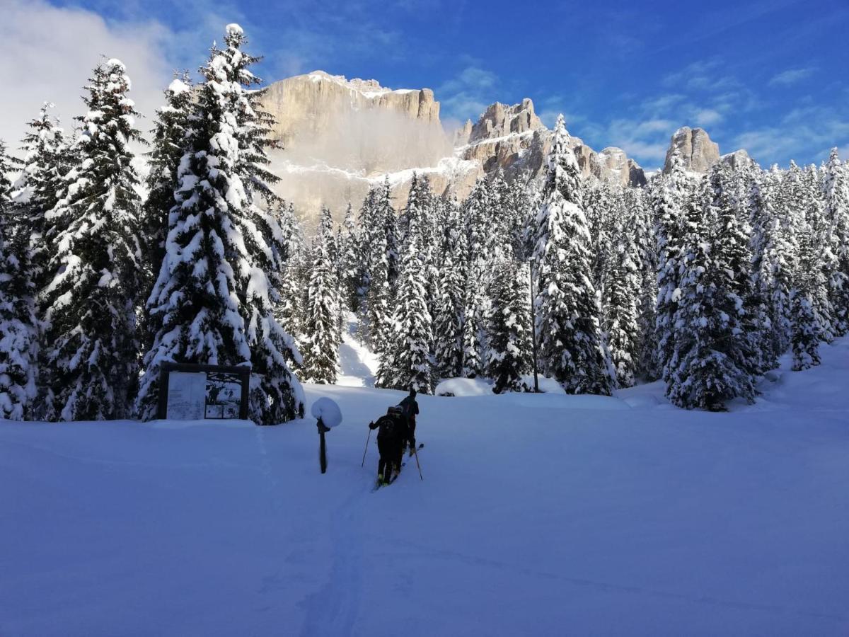 Appartamenti Chalet Orchidea Canazei Dış mekan fotoğraf