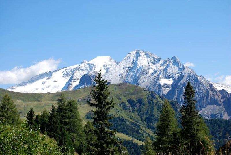 Appartamenti Chalet Orchidea Canazei Dış mekan fotoğraf