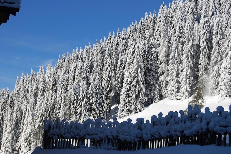 Appartamenti Chalet Orchidea Canazei Dış mekan fotoğraf