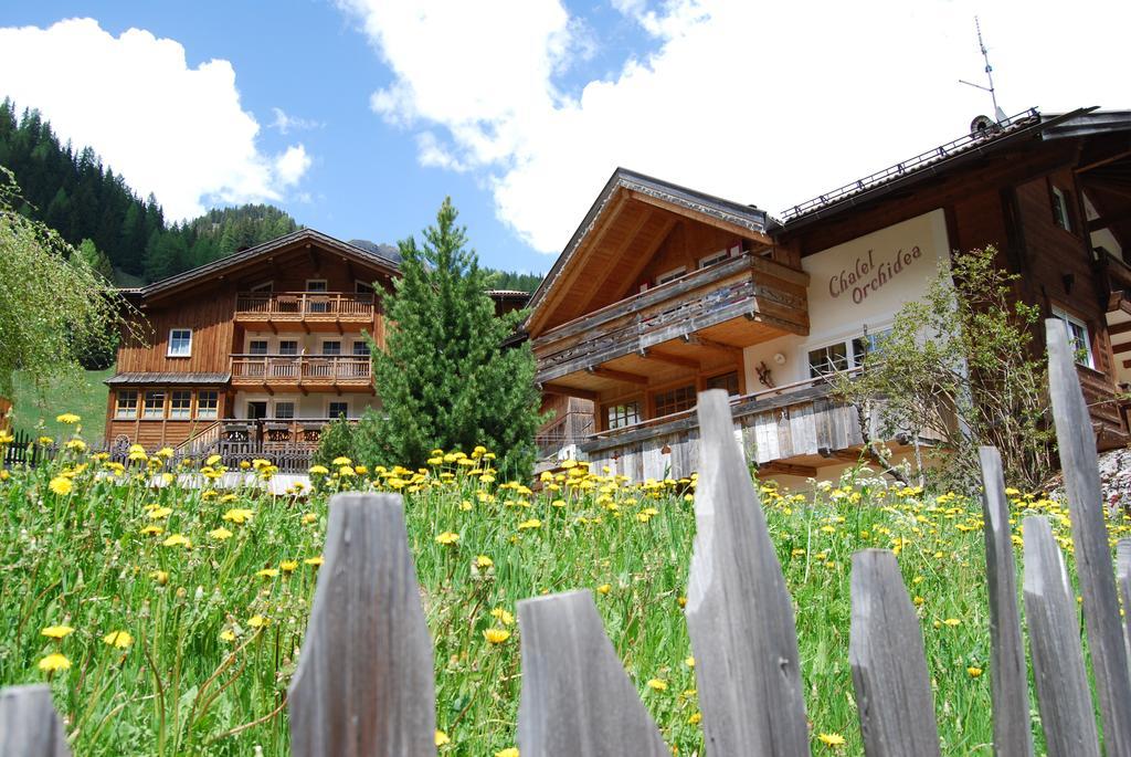 Appartamenti Chalet Orchidea Canazei Dış mekan fotoğraf