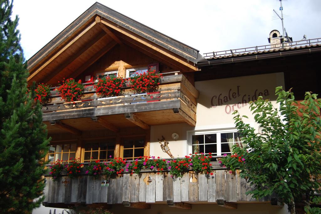 Appartamenti Chalet Orchidea Canazei Dış mekan fotoğraf