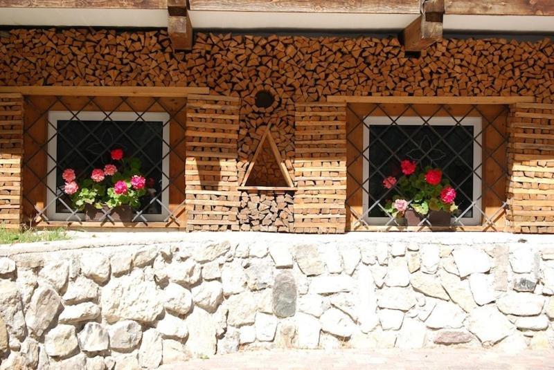 Appartamenti Chalet Orchidea Canazei Dış mekan fotoğraf