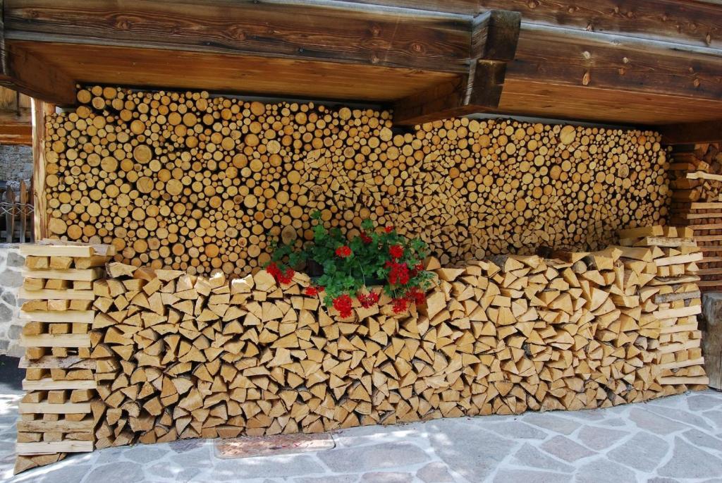 Appartamenti Chalet Orchidea Canazei Dış mekan fotoğraf