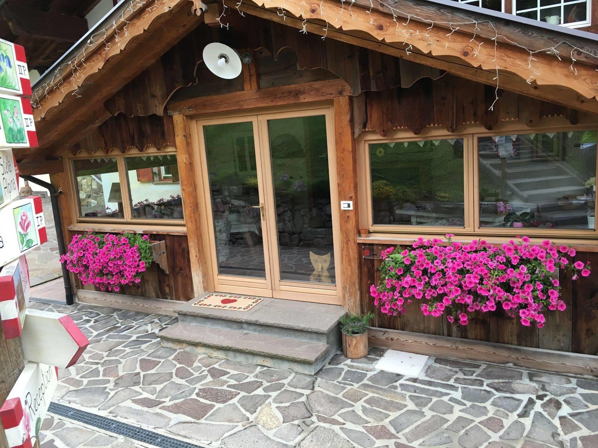 Appartamenti Chalet Orchidea Canazei Dış mekan fotoğraf