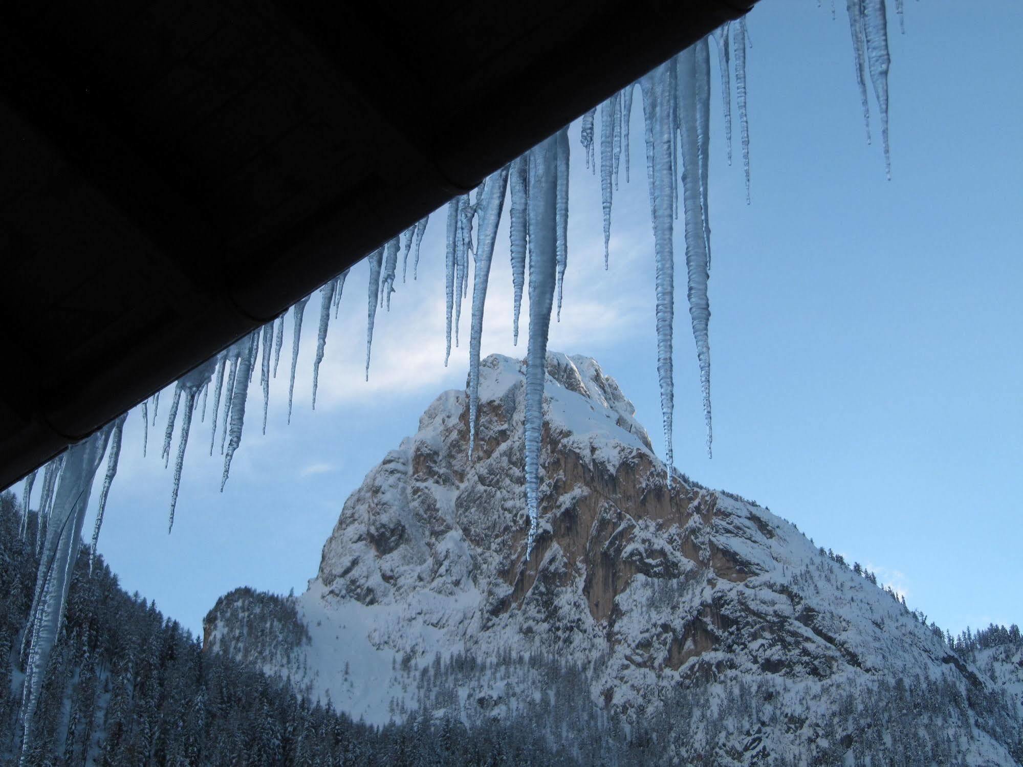 Appartamenti Chalet Orchidea Canazei Dış mekan fotoğraf
