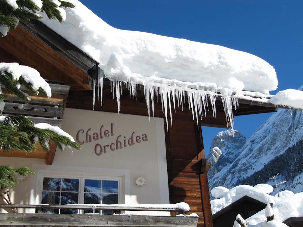 Appartamenti Chalet Orchidea Canazei Dış mekan fotoğraf